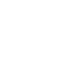 Steamify